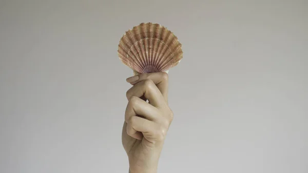Mano Sinistra Della Donna Tiene Messicano Piatto Seashells Uno Sfondo — Foto Stock