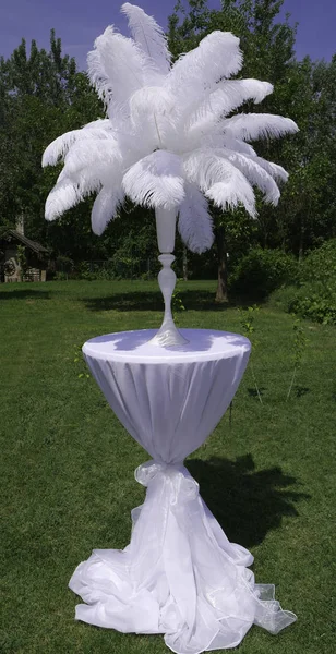 Beyaz devekuşu tüyü vazonun içinde beyaz bir ziyafet masasında - yeşil doğa ve mavi gökyüzü arkaplanı.