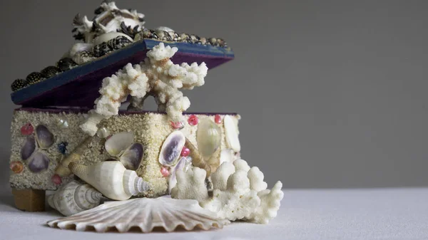 Deniz kabuklarından yapılmış mücevher kutusu