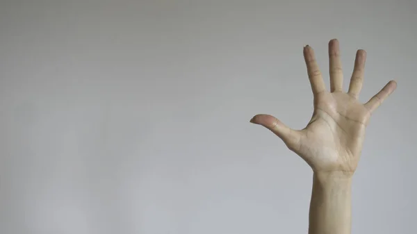 女性手势显示给我五个标志 五号用手指 面向相机的手掌打开 在白色背景上隔离 — 图库照片