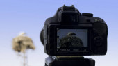  Natáčení digitálního fotoaparátu čáp v hnízdě 