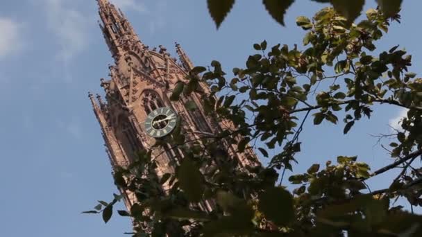 Башня Франкфуртского Собора Церковь Франкфурте Майне — стоковое видео
