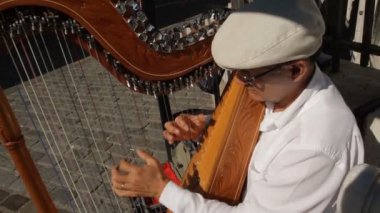  Paris, Fransa - Ekim 2011: Sokakta arp çalan adam