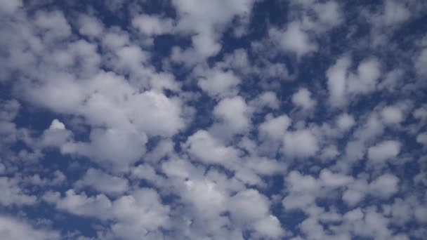 Cielo Azul Con Nubes Blancas — Vídeo de stock