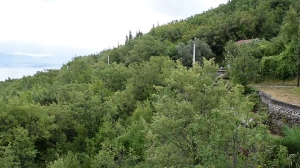 Pan Sola Kotor Körfezi Karadağ Yeşil Orman Körfez Bulutlarla Kaplı — Stok video