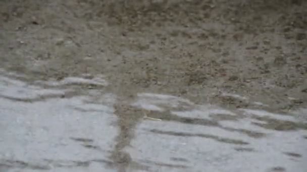 Regen Fällt Auf Den Beton — Stockvideo