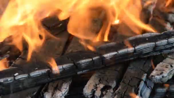 屋外の火 燃焼のクローズ アップ — ストック動画