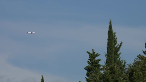 Avion Survole Forêt Sur Montagne Sous Ciel Bleu — Video