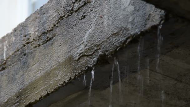 Lluvia Saliendo Pared Cerca — Vídeos de Stock