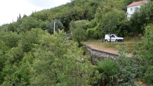 Pan Izquierda Bahía Kotor Montañas Con Bosque Verde Bahía Montenegro — Vídeos de Stock