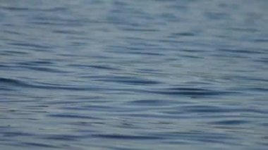 Sakin rahatlatıcı mavi deniz suyu yüzeyi