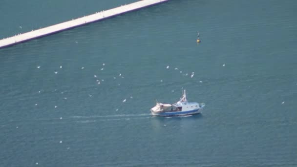 一艘渔船在海鸥包围的蓝色大海中航行 — 图库视频影像