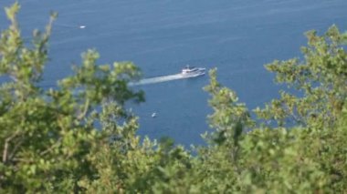 Yeşil ormanın üst dallarından gemi ve mavi deniz görünümü