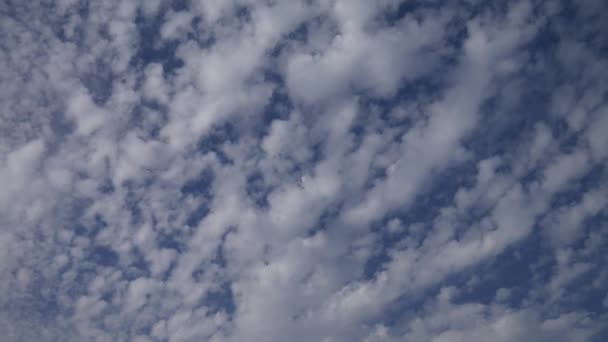 Pan Direita Nuvens Brancas Bonitas Contra Céu Azul — Vídeo de Stock