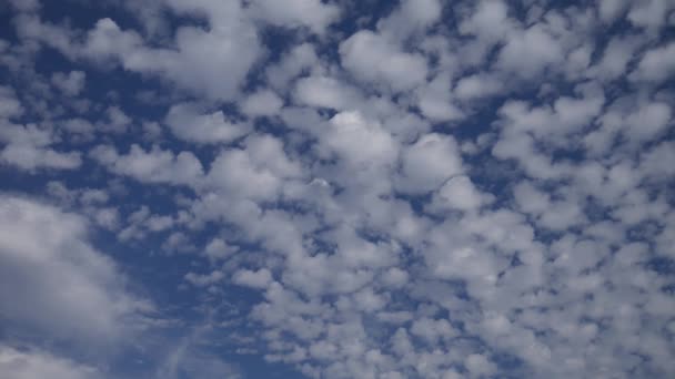 Mavi Gökyüzü Arkaplanlı Beyaz Bulutlu — Stok video