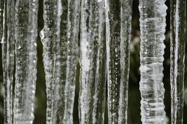 Crystal Clear Sharp Frozen Icicles Hanging — Stock Photo, Image
