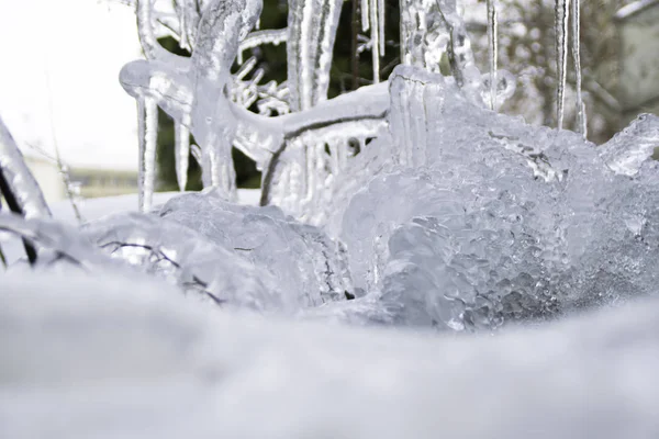 Nature Gelée Pendant Hiver Froid Gros Plan — Photo