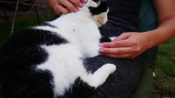 Feminino Proprietário Sentado Uma Cadeira Fora Com Gato Abraçando Seu — Vídeo de Stock