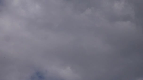 Nuvens Tempestuosas Mostram Poder Natureza Cruzando Céu — Vídeo de Stock