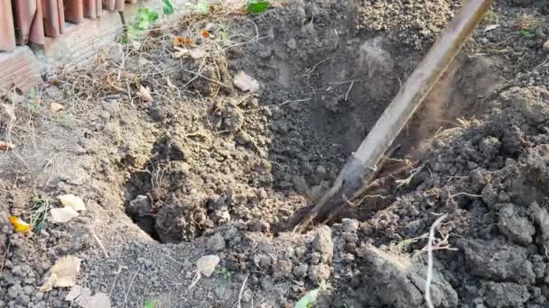 Cava Buraco Com Uma Close Terreno Seco Ferramenta Agrícola Campo — Vídeo de Stock