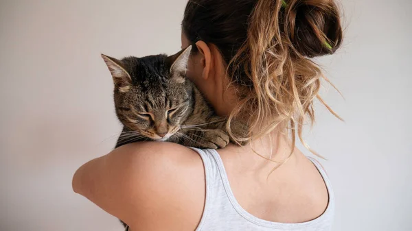 Κοιμισμένη Γάτα Στην Αγκαλιά Μιας Γυναίκας Ιδιοκτήτη — Φωτογραφία Αρχείου