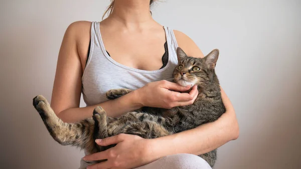 年轻女子在腿上摸着一只大条纹猫 — 图库照片