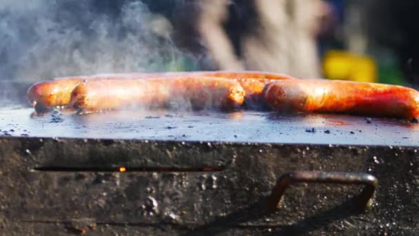 Salchichas Fritas Embutidos Para Asar Aire Libre — Vídeos de Stock