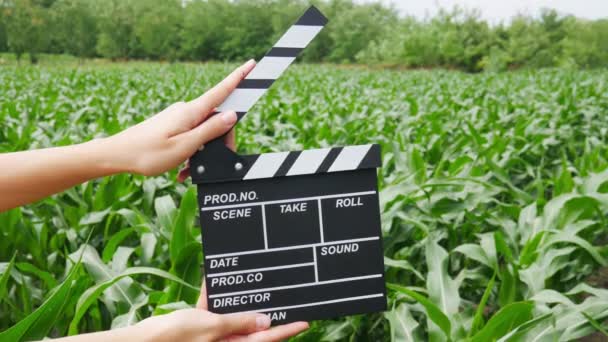 紧紧抓住女导演的手 用木片在玉米地上拍片 — 图库视频影像