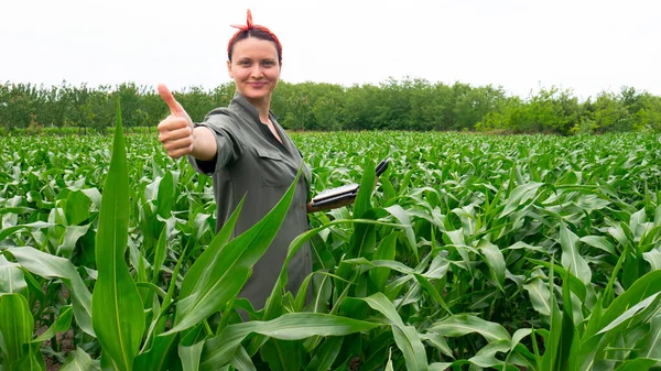 A smiling woman in a corn field gives a thumbs up. Good season for growing corn.
