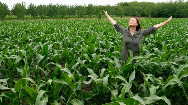 Uma Mulher Num Campo Com Braços Estendidos Cabeça Erguida Para — Fotografia de Stock