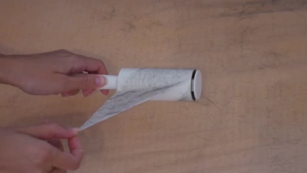 Surface couverte de poils de chat et de chien. Rouleau de peluche est utilisé pour nettoyer la fourrure de l'animal de compagnie de la zone sale.