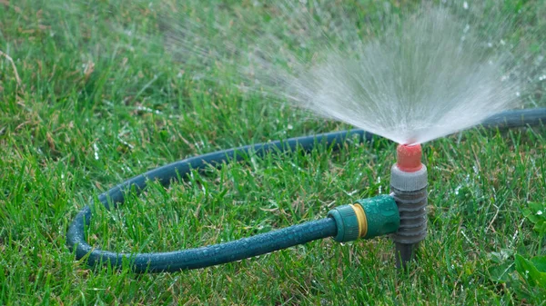 Gräsmatta Sprinkler Spruta Aktion Vattning Gräs — Stockfoto