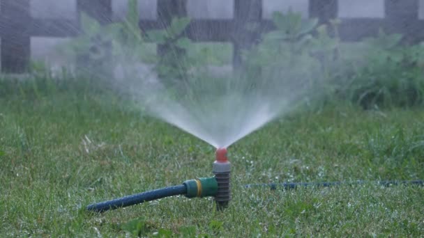 Lawn Sprinkler Sprayer Watering Grass — Stock Video