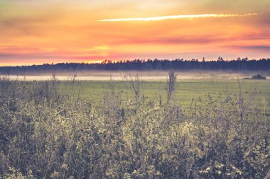 sis alan köyün yaz, peyzaj, Hdr etkisi gün batımında