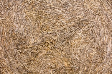 yaz, doğal arka plan preslenmiş saman yakın çekim