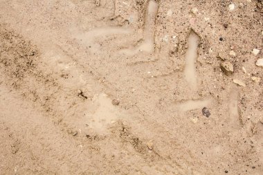 Lastik izleri bir yolda ıslak çamurlu, arka plan