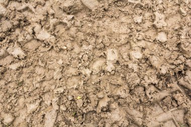 Lastik izleri bir yolda ıslak çamurlu, arka plan