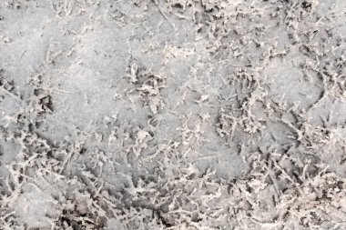 güneşli bir günde, doğal arka plan karla kaplı çimen