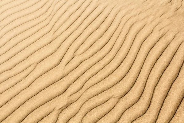 Satırları kum Baltık Denizi kıyısında