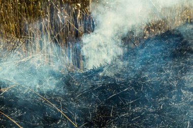 İtfaiyeciler çalışıyor. İlkbaharda yanan çim tarlası