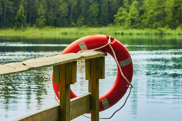yaz aylarında bulutlu bir günde bir orman gölünün iskelesinde lifebuoy
