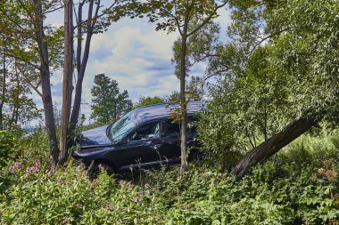 Bir araba olay yerinde bir yolda bir ağaç ile Crossover çarpışma 