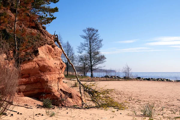 Bäume Und Große Steine Der Felsigen Ostseeküste Bei Tuja Veczemju — Stockfoto