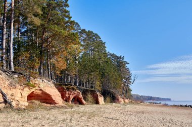 Baltık Denizi kıyısındaki mağara Tuja, Veczemju kliniği, Vidzeme, Letonya, manzara