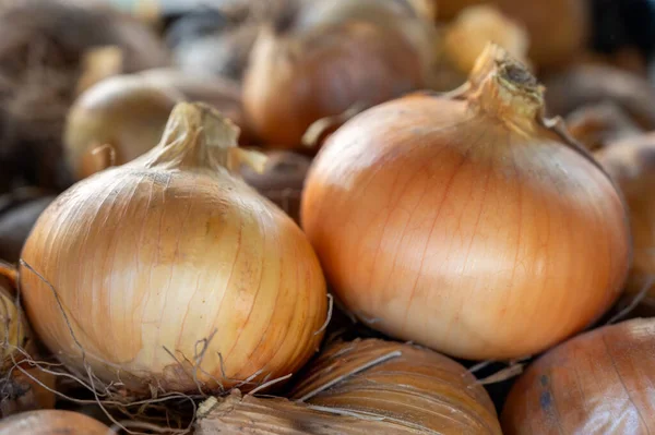 Bir sürü taze soğan. Kapat..