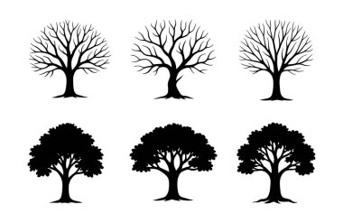 İki satırda altı ağaç siluetini gösteren grafiksel bir resimde hem çıplak kış ağaçları hem de yapraklı yaz ağaçları görülüyor..