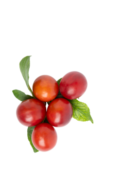 Yapraklı kırmızı erikler, üst görünüm, PNG, transperent arkaplanda izole edilmiş