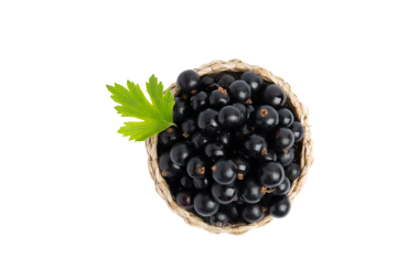 Sepet üstü görünümlü siyah frenk üzümü, PNG, transperent arkaplanda izole.