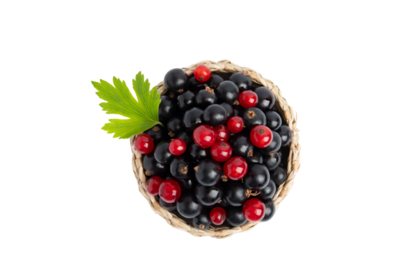 Siyah ve kırmızı üzümlü sepet üst görünüm, PNG, transperent arkaplanda izole