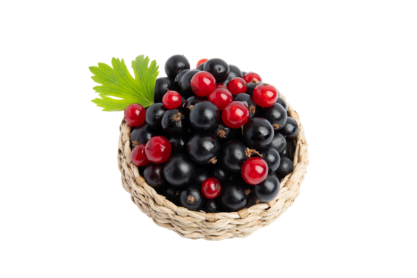 Siyah ve kırmızı üzümlü sepet üst görünüm, PNG, transperent arkaplanda izole